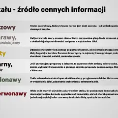 Jasny stolec, szary lub biały, może wskazywać na problemy z wątrobą lub wydalaniem żółci.