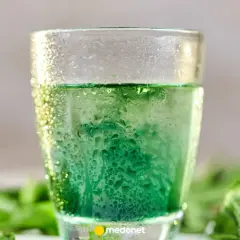 Szklanka z zielonym napojem, otoczona świeżą miętą. Zastanawiasz się nad picie chlorofilu efekty?