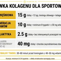 Tabela dawkowania hydrolizowanego kolagenu dla sportowców: masa mięśniowa, regeneracja stawów, profilaktyka i kolagen niezdenaturowany.
