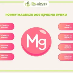 Różne formy magnezu: cytrynian, taurynian, glicynian, mleczan, tlenek, siarczan, węglan, jabłczan. Jaki magnez najlepszy? Wybór zależy od potrzeb.