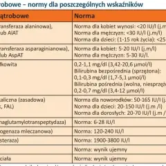 Tabela z normami badań wątrobowych: ALT, AST, bilirubina, GGTP, LDH, ChE, HBs, HCV. Co to za badanie?