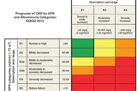 Tabela prognozy CKD wg GFR i albuminurii. GFR 60ml/min/1.73 m² oznacza łagodnie zmniejszoną funkcję nerek (G2).
