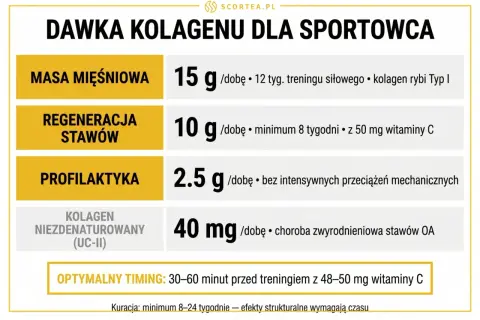 Tabela dawkowania hydrolizowanego kolagenu dla sportowców: masa mięśniowa, regeneracja stawów, profilaktyka i kolagen niezdenaturowany.