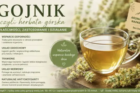 Gojnik, czyli herbata górska, pomaga na odporność, układ oddechowy, trawienie i nerwy. To naturalne wsparcie każdego dnia.