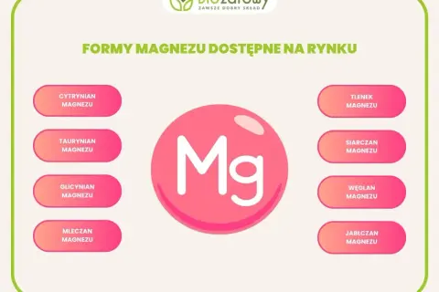 Różne formy magnezu: cytrynian, taurynian, glicynian, mleczan, tlenek, siarczan, węglan, jabłczan. Jaki magnez najlepszy? Wybór zależy od potrzeb.