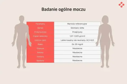 Tabela badań ogólnych moczu. Wartość "Nieobecna" przy ketonach sugeruje brak ciał ketonowych w moczu.