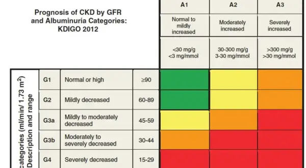 Tabela prognozy CKD wg GFR i albuminurii. GFR 60ml/min/1.73 m² oznacza łagodnie zmniejszoną funkcję nerek (G2).