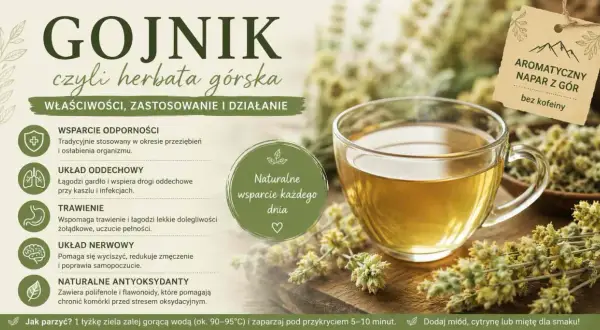 Gojnik, czyli herbata górska, pomaga na odporność, układ oddechowy, trawienie i nerwy. To naturalne wsparcie każdego dnia.