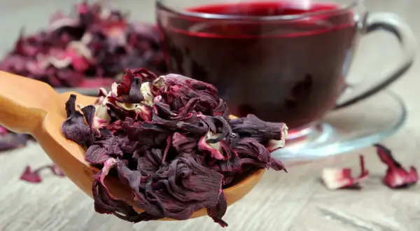 Suszone płatki hibiskusa na drewnianej łyżce i kubek z naparem. Hibiskus co to? To piękny, czerwony napój.