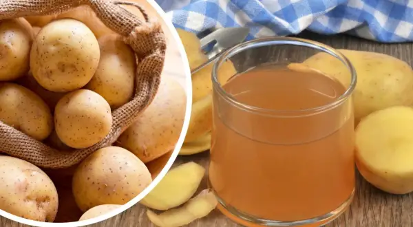 Szklanka z bursztynowym sokiem z ziemniaka obok świeżych bulw i obierków. W tle worek pełen ziemniaków.