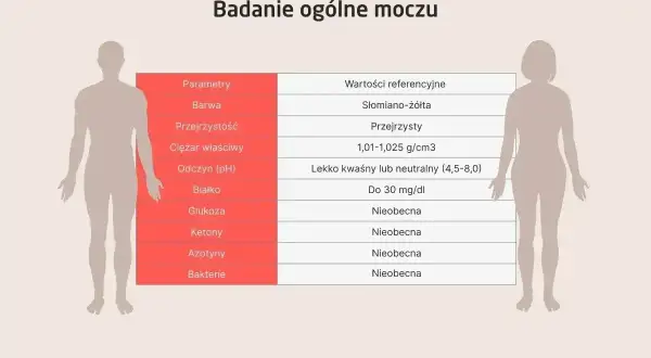 Tabela badań ogólnych moczu. Wartość "Nieobecna" przy ketonach sugeruje brak ciał ketonowych w moczu.