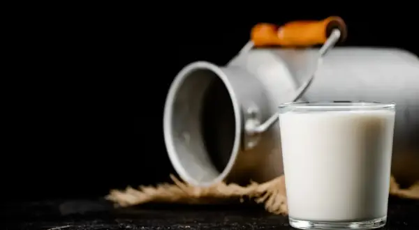 Szklanka mleka obok metalowego konewki. Czy to colostrum? To pierwszy, bogaty w składniki odżywcze pokarm matki.