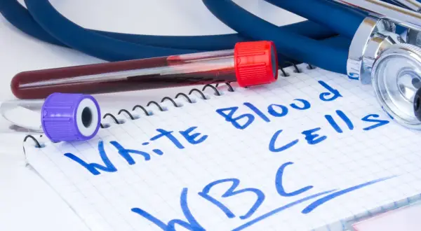 Wyniki badań krwi, probówki i stetoskop. Na notatniku napisano "White Blood Cells WBC". Zastanawiasz się, jaki poziom leukocytów jest niebezpieczny?