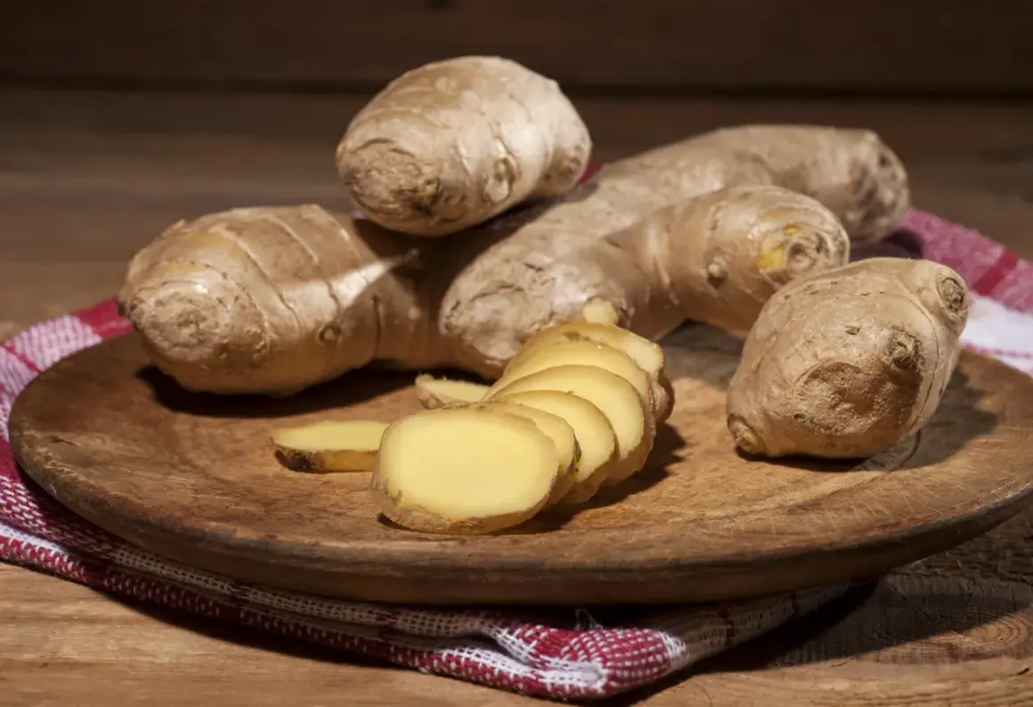 Imbir, znany jako naturalne zioła na cholesterol, prezentowany na drewnianej desce. Kilka korzeni i plasterki świeżego imbiru.