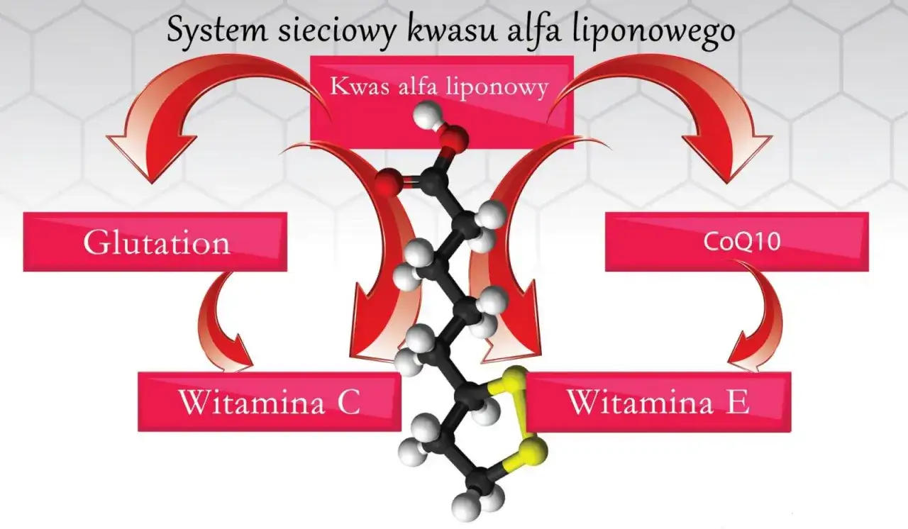 Kwas alfa-liponowy - działanie, dawka i bezpieczeństwo