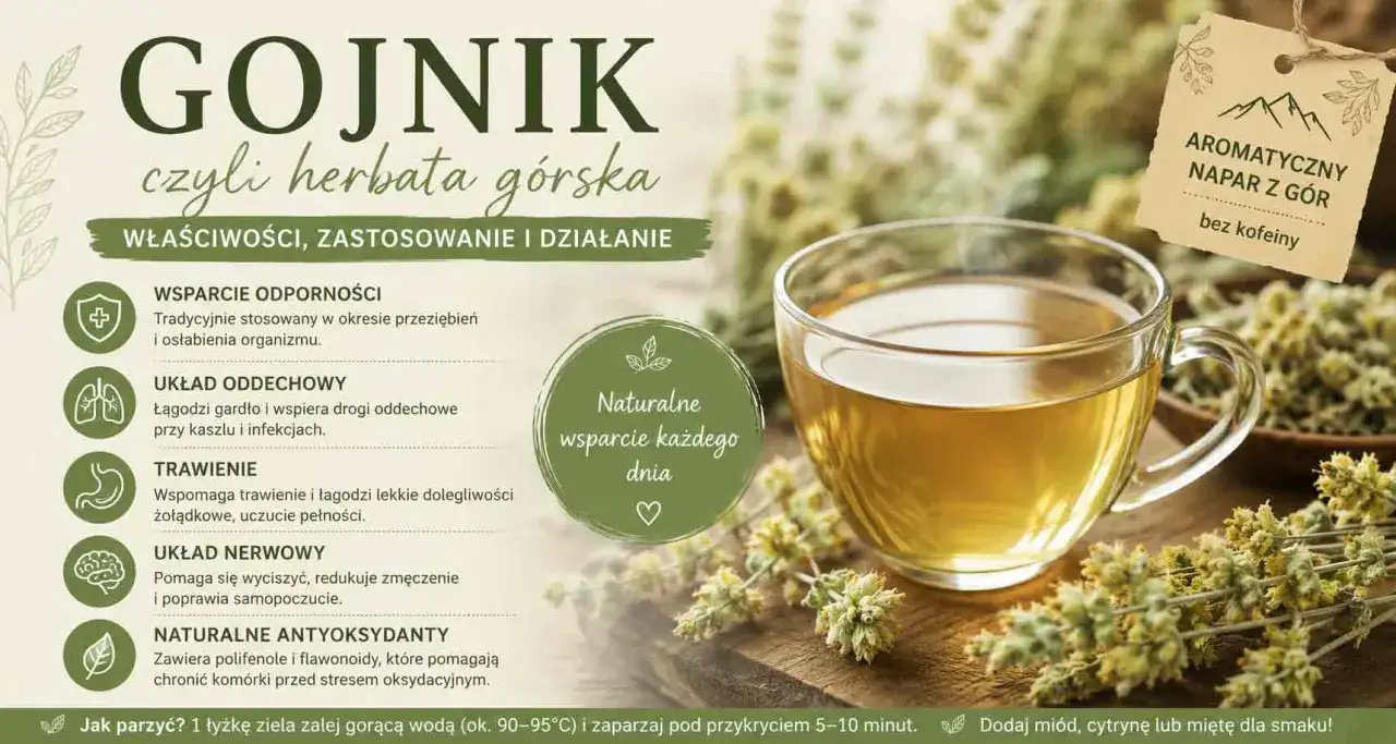 Gojnik na kaszel i trawienie - co warto wiedzieć?
