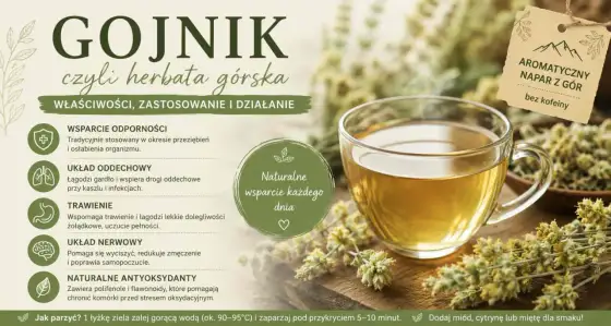 Gojnik na kaszel i trawienie - co warto wiedzieć?