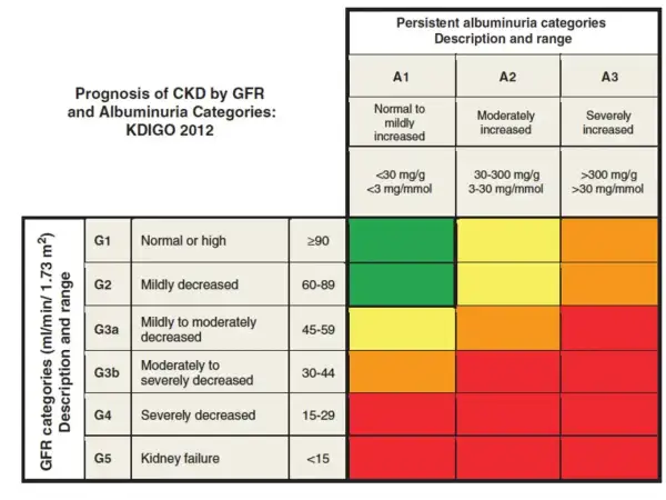 Tabela prognozy CKD wg GFR i albuminurii. GFR 60ml/min/1.73 m² oznacza łagodnie zmniejszoną funkcję nerek (G2).