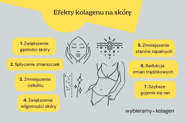 Kolagen pomaga zwiększyć gęstość skóry, spłycić zmarszczki, zmniejszyć cellulit, nawilżyć, zredukować stany zapalne i trądzik, a także przyspieszyć gojenie ran.