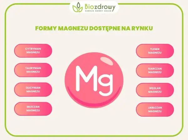 Różne formy magnezu: cytrynian, taurynian, glicynian, mleczan, tlenek, siarczan, węglan, jabłczan. Jaki magnez najlepszy? Wybór zależy od potrzeb.