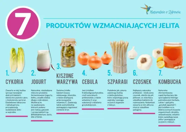 Produkty wzmacniające jelita: cykoria, jogurt, kiszone warzywa, cebula, szparagi, czosnek, kombucha. Co jeść, by mieć zdrowe jelita?