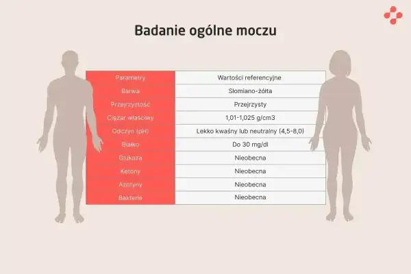Tabela badań ogólnych moczu. Wartość "Nieobecna" przy ketonach sugeruje brak ciał ketonowych w moczu.