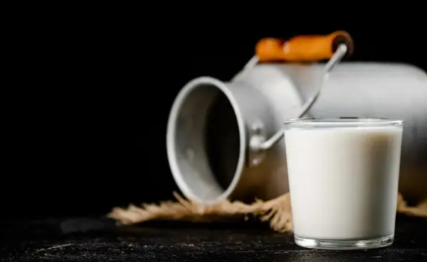 Szklanka mleka obok metalowego konewki. Czy to colostrum? To pierwszy, bogaty w składniki odżywcze pokarm matki.