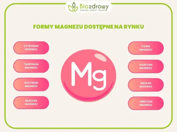 Różne formy magnezu dostępne na rynku: cytrynian, taurynian, glicynian, mleczan, tlenek, siarczan, węglan i jabłczan. Suplementacja magnezu jest ważna dla zdrowia.